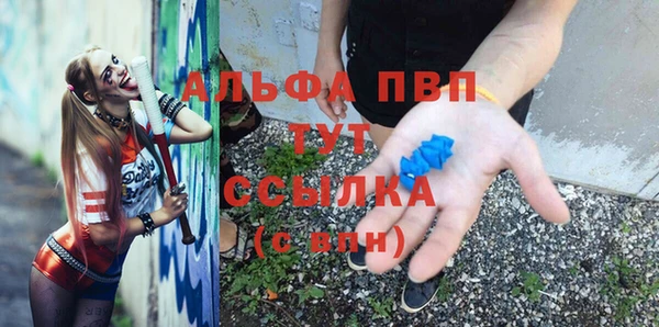 молекула духа Протвино