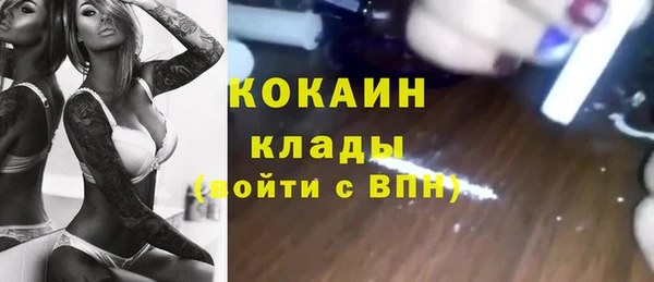 молекула духа Протвино